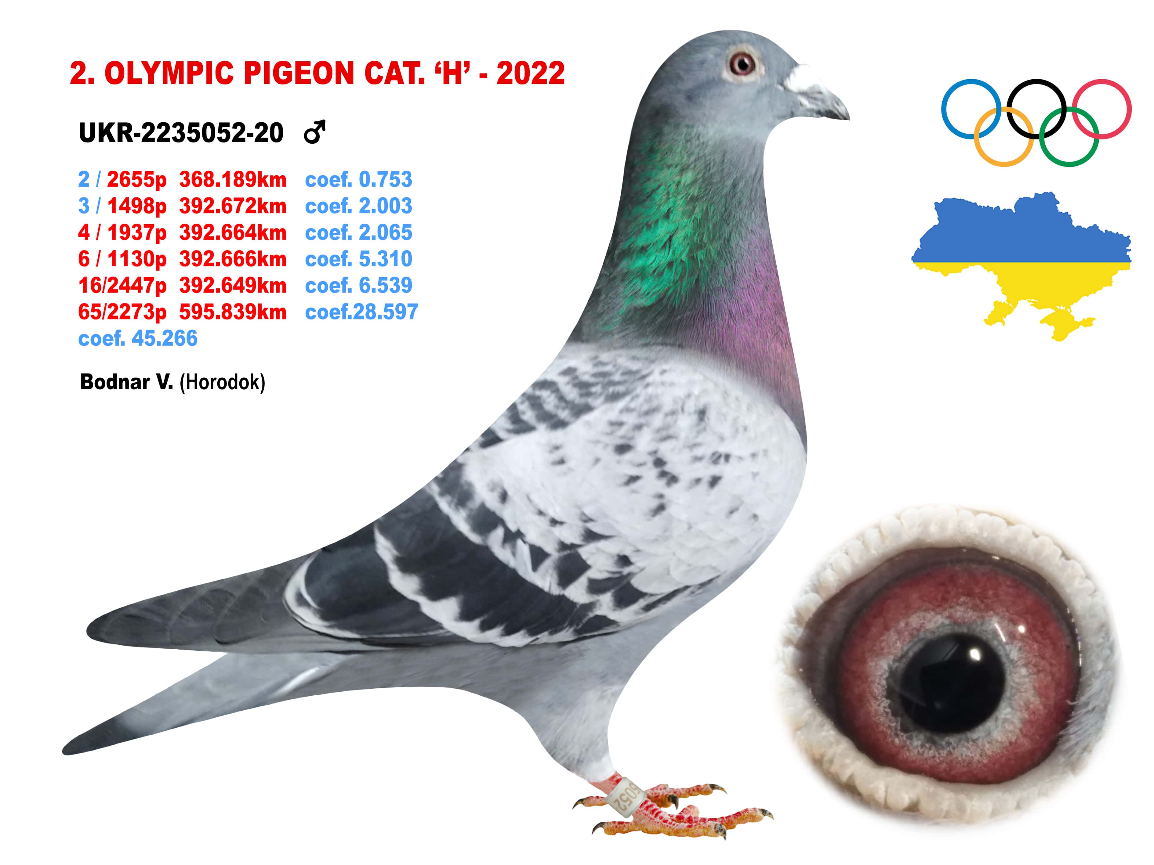 2022-H2